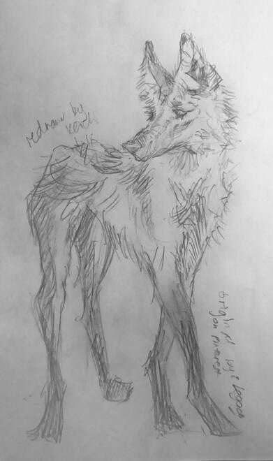dog